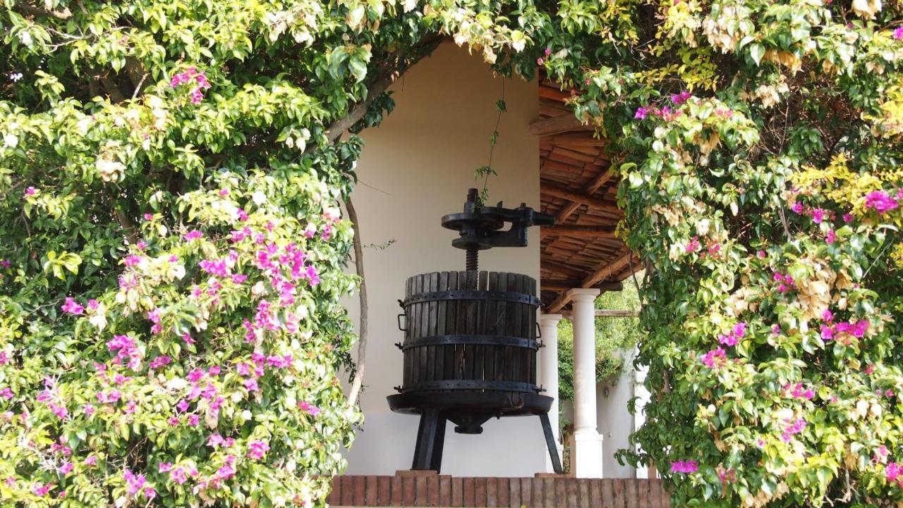 B&B Casa Gemma Lamezia Terme Buitenkant foto