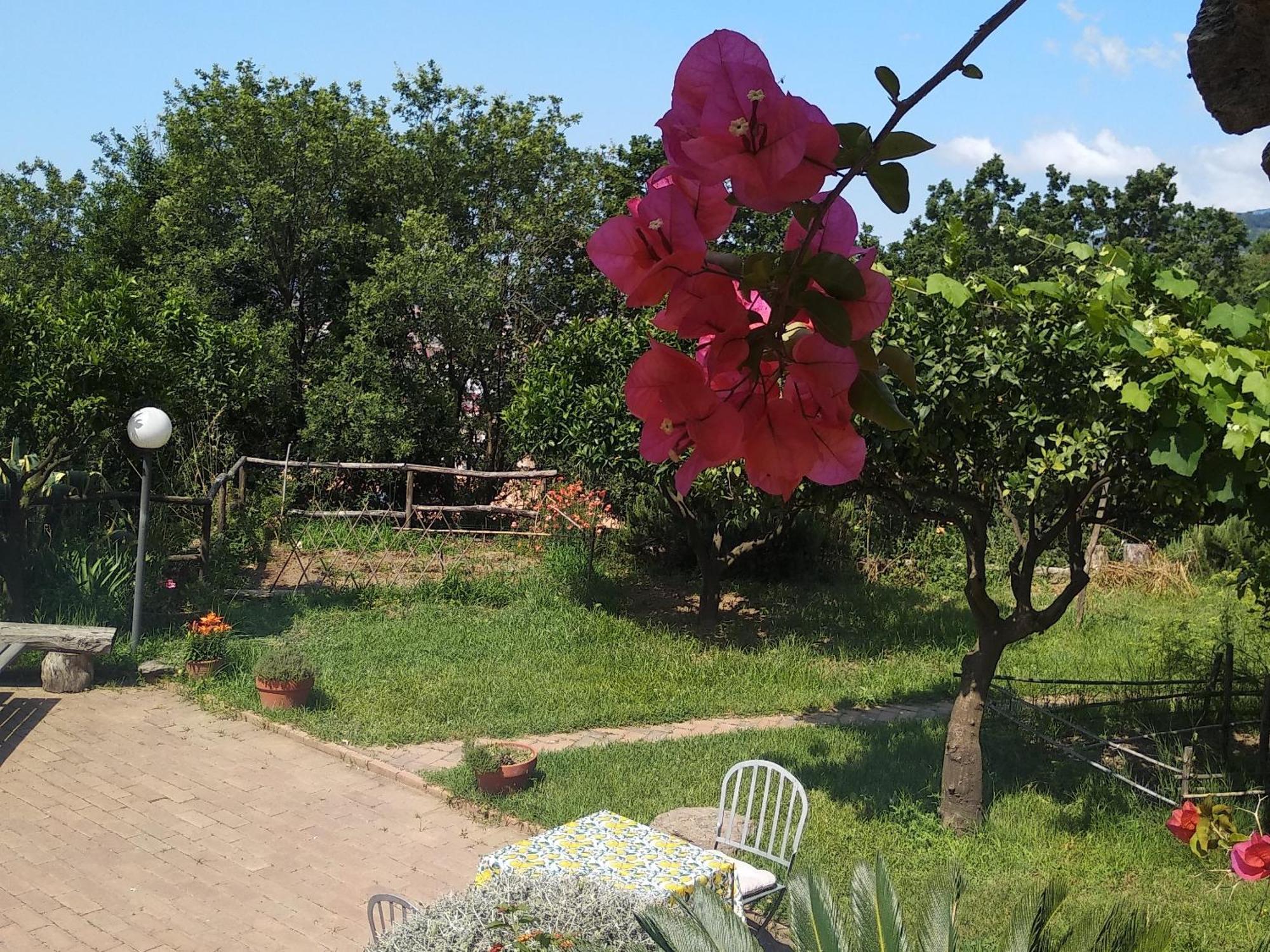 B&B Casa Gemma Lamezia Terme Buitenkant foto